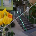 酒店 利拉鲁酒店 2*