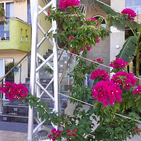 Lilalo ηotel فندق 2*