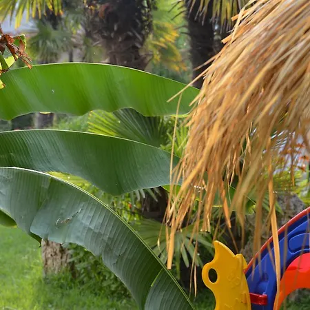 Lilalo ηotel Paralía