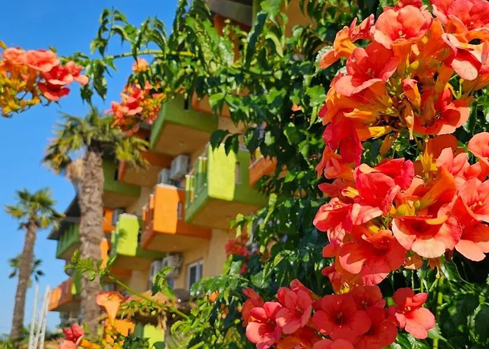 Hotel Lilalo ηotel Paralía