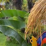Lilalo ηotel Paralía