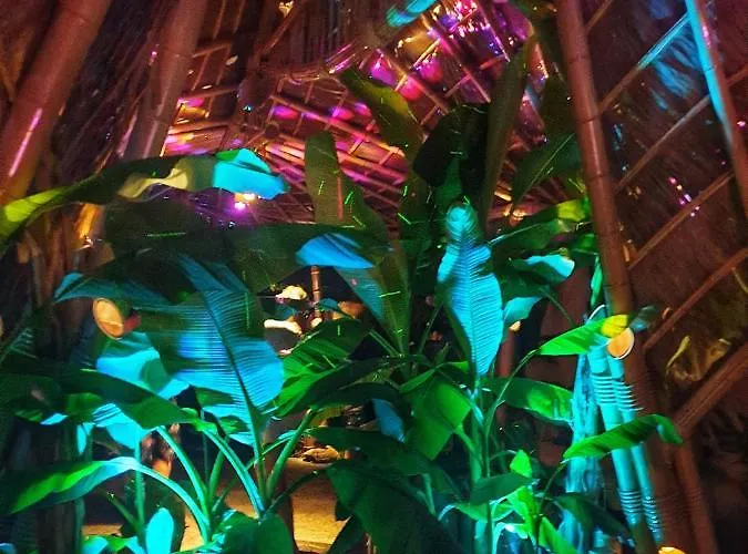 Lilalo ηotel Hotel Paralía